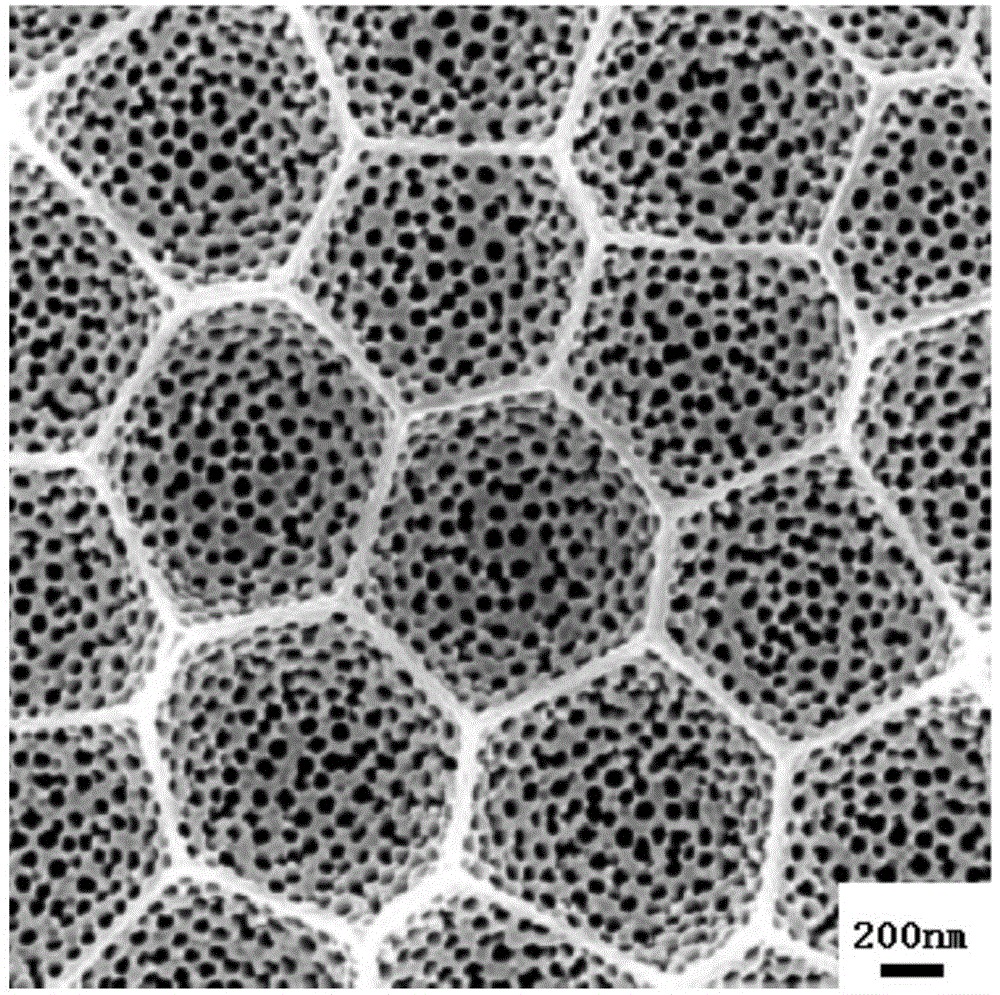 Method for producing micro-surface three-dimensional interconnected-nanopore anodic aluminum oxide template