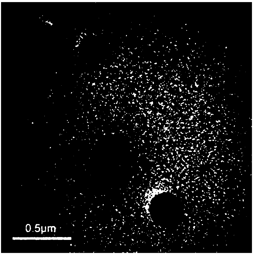 Preparation method of gene-carrying multifunctional contrast agent and application of gene-carrying multifunctional contrast agent