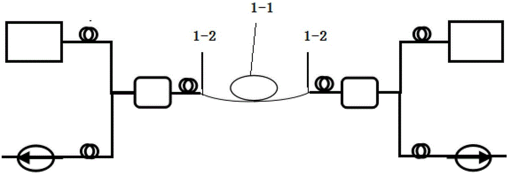 Detection system based on ED-MFKL (Er&lt;3+&gt;-doped microfiber knot laser) and method