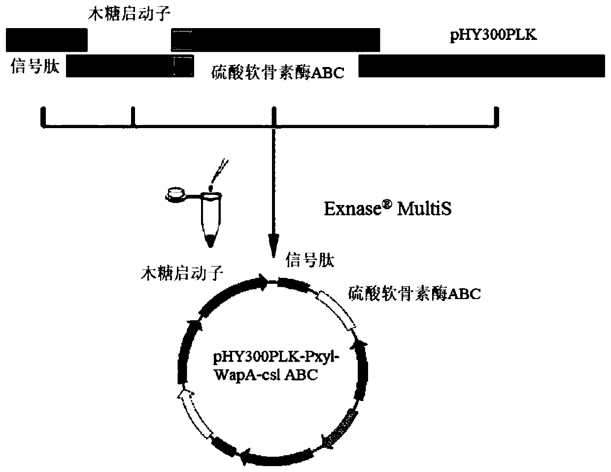 Method for efficiently preparing micromolecular chondroitin sulfate and micromolecular hyaluronic acid by one step