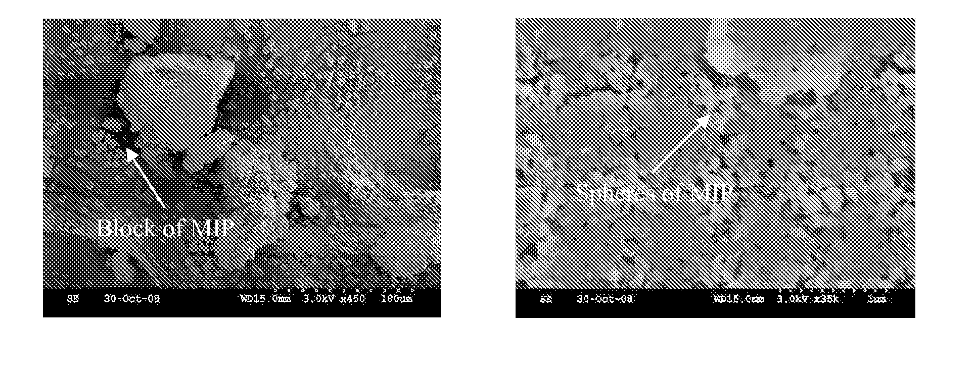 Synthetic mycotoxin adsorbents and methods of making and utilizing the same