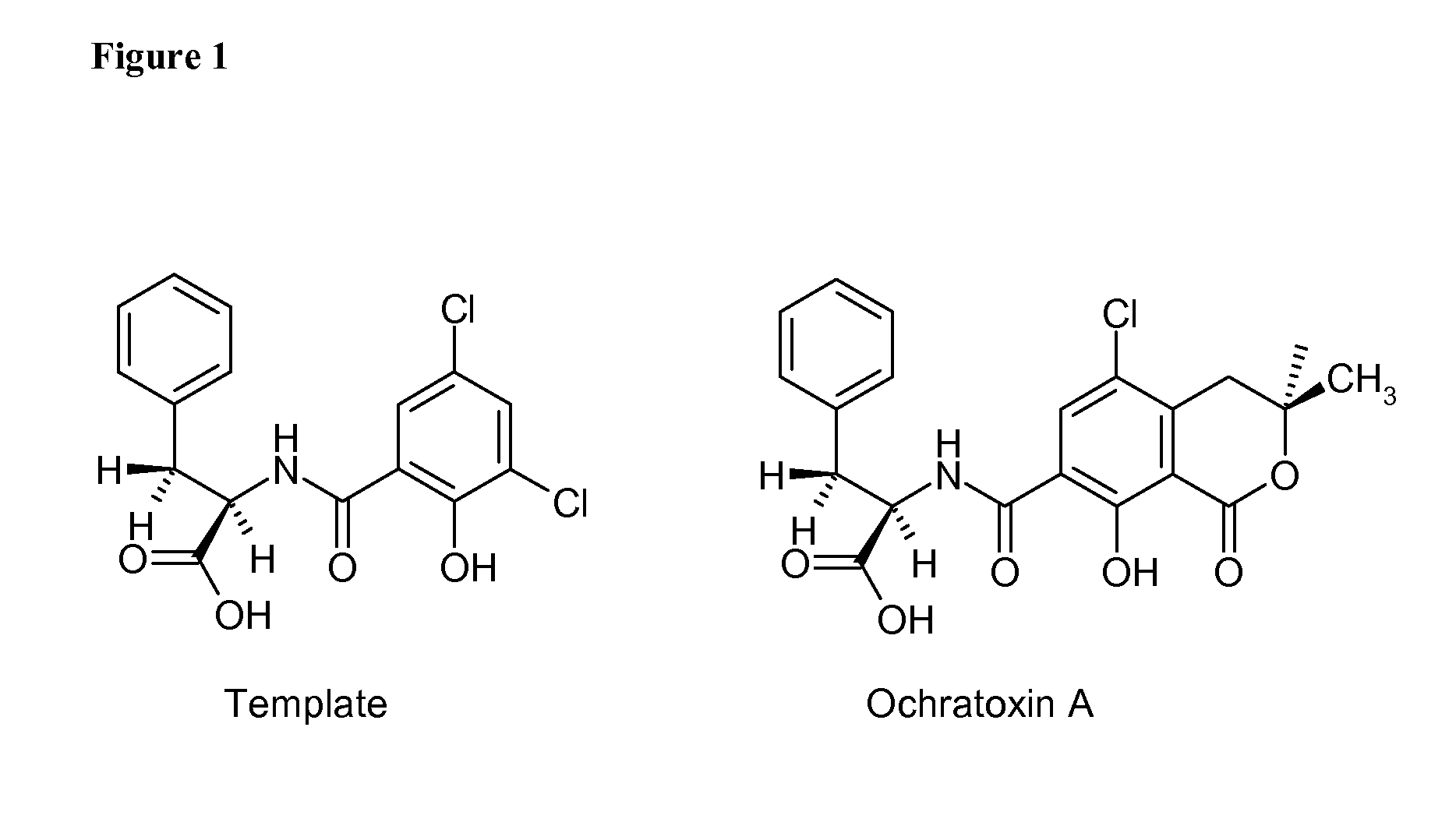 Synthetic mycotoxin adsorbents and methods of making and utilizing the same