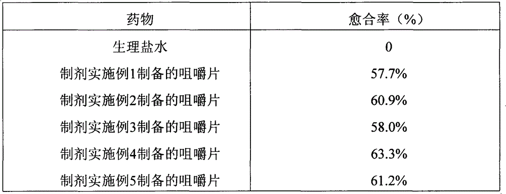 Magaldrate chewable tablets and preparation method thereof