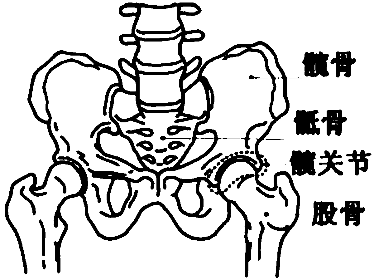 Bone joint CT image segmentation method and system