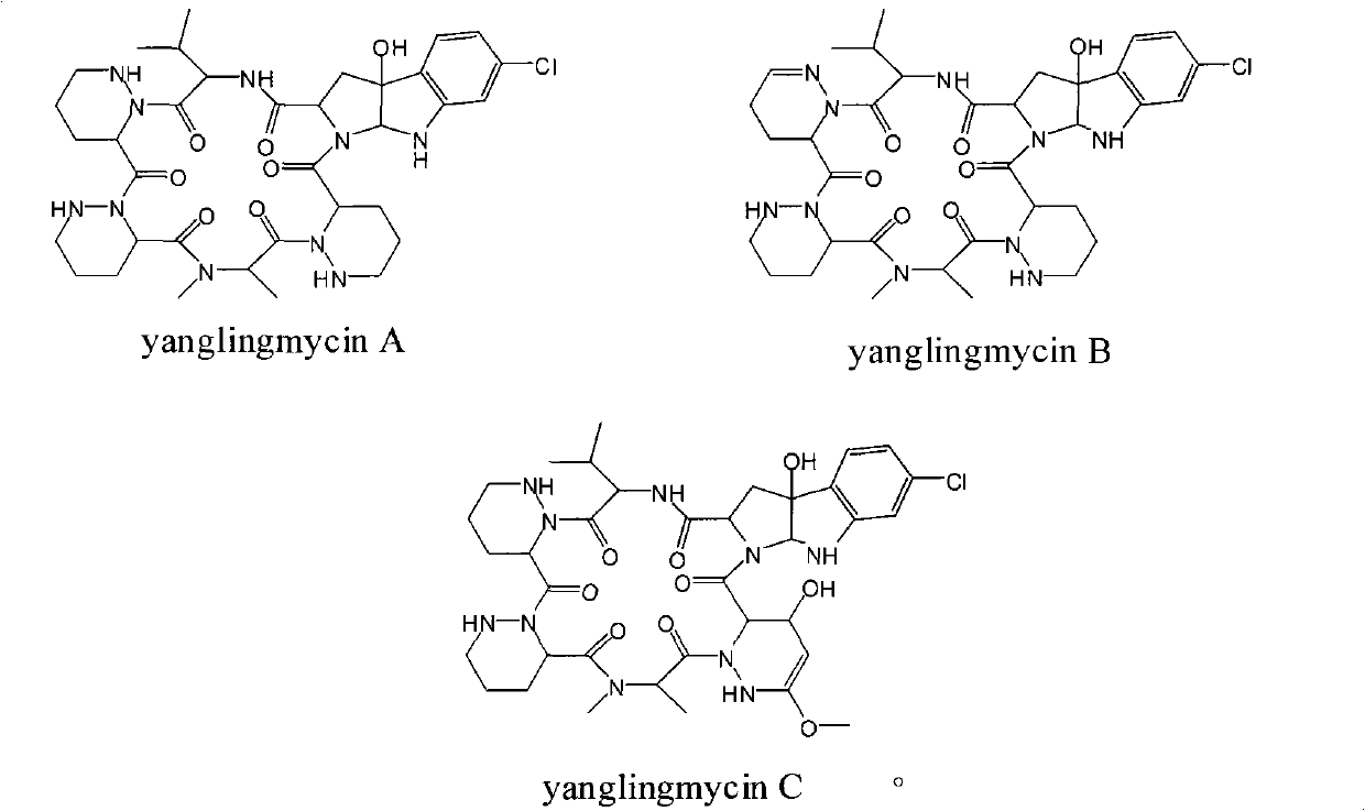 Cyclic hexapeptide antibacterial compound