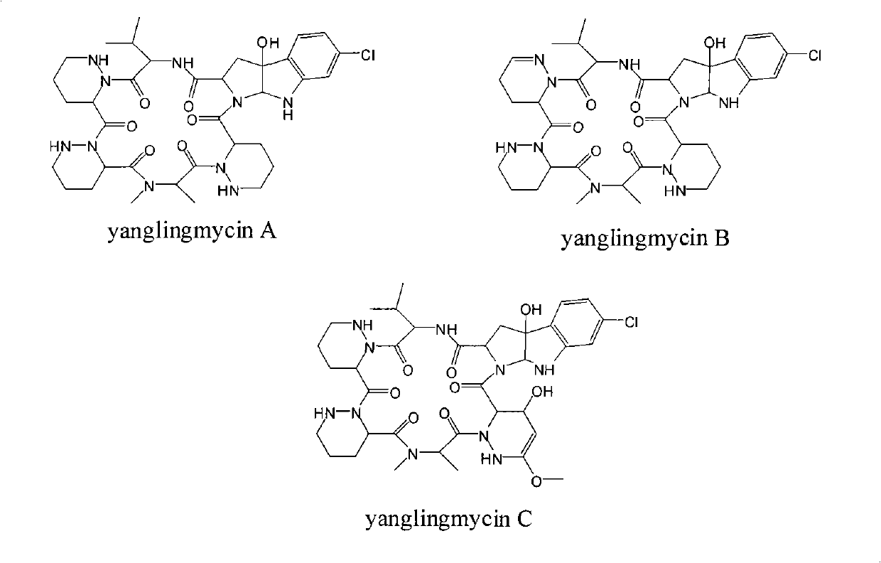 Cyclic hexapeptide antibacterial compound