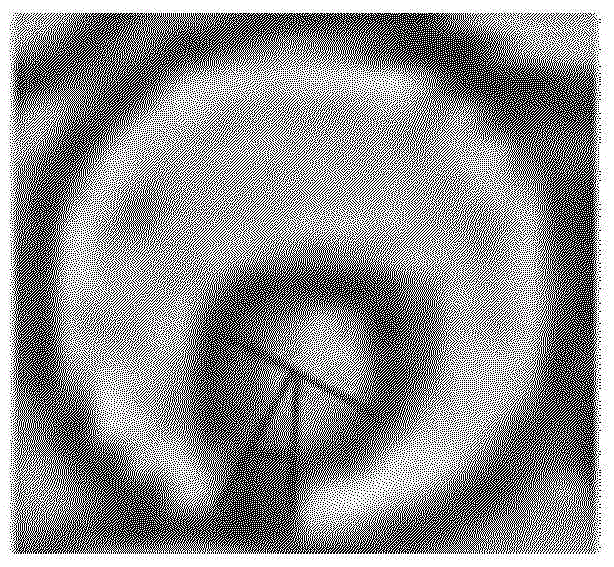 C-shaped composite fiber, c-shaped hollow fiber thereof, fabric including same, and method for manufacturing same