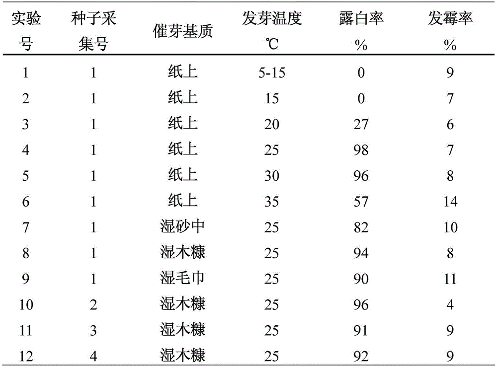 A kind of method for promoting germination and raising seedlings of cattle vigorous seeds in winter