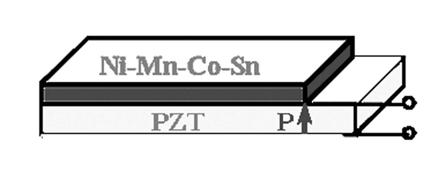 Ni-Mn based ferromagnetic shape memory alloy/piezoelectric composite and application in magnetoelectric effect thereof