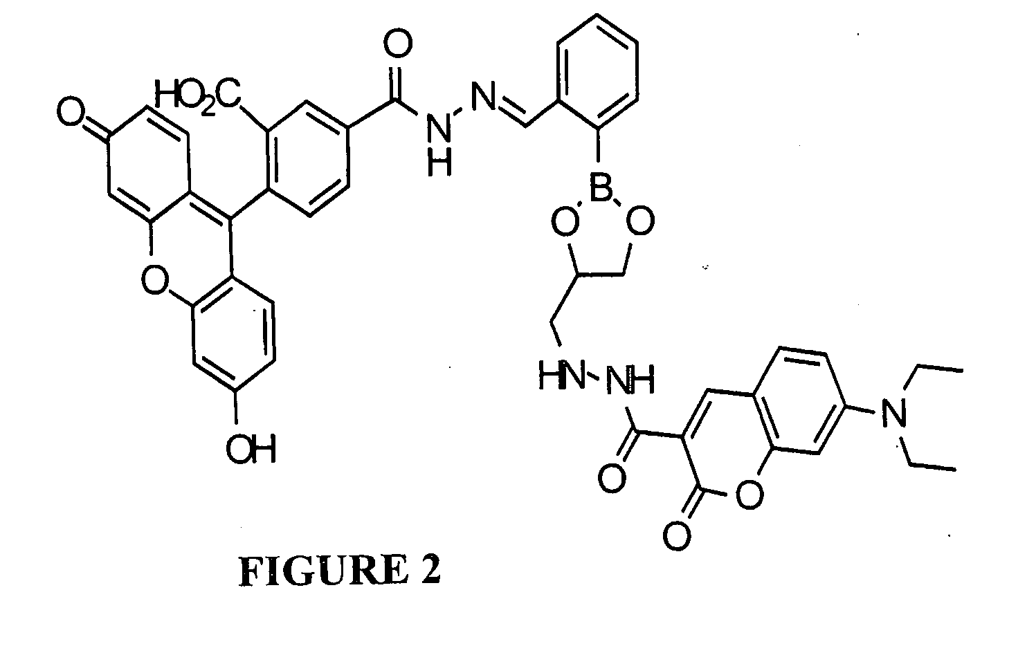 Fluorescent prochelators for cellular iron detection