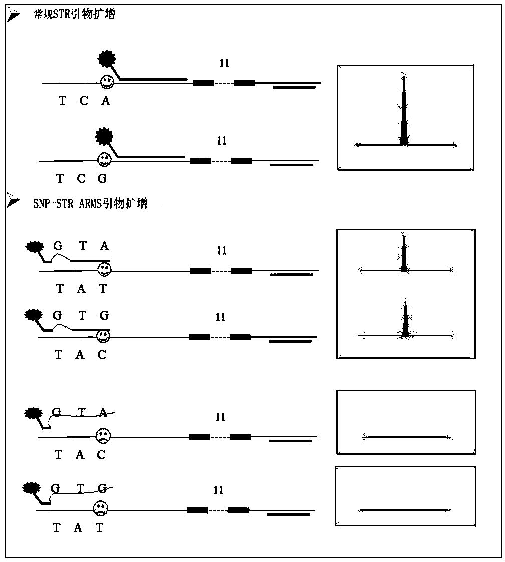 Multiplex system, method for detecting unbalanced mixed samples through compound system and application of method