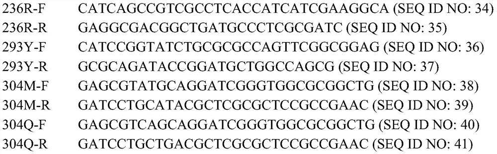 5-aminolevulinic acid synthetase mutant as well as host cell and application thereof