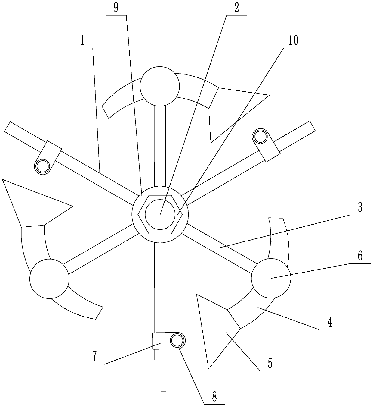 Cultivation method and feed feeding device of small yellow croaker with high female rate