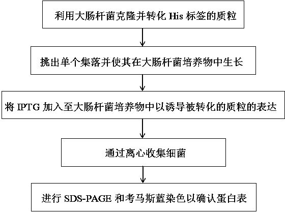 Application of a set of tumor-associated antigens in early screening kit for esophageal cancer and kit thereof