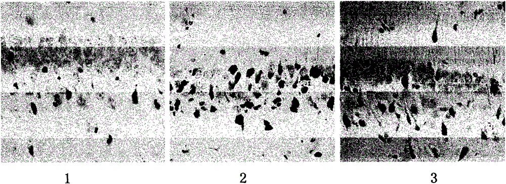 Pharmaceutical composition for treating vascular dementia and its application