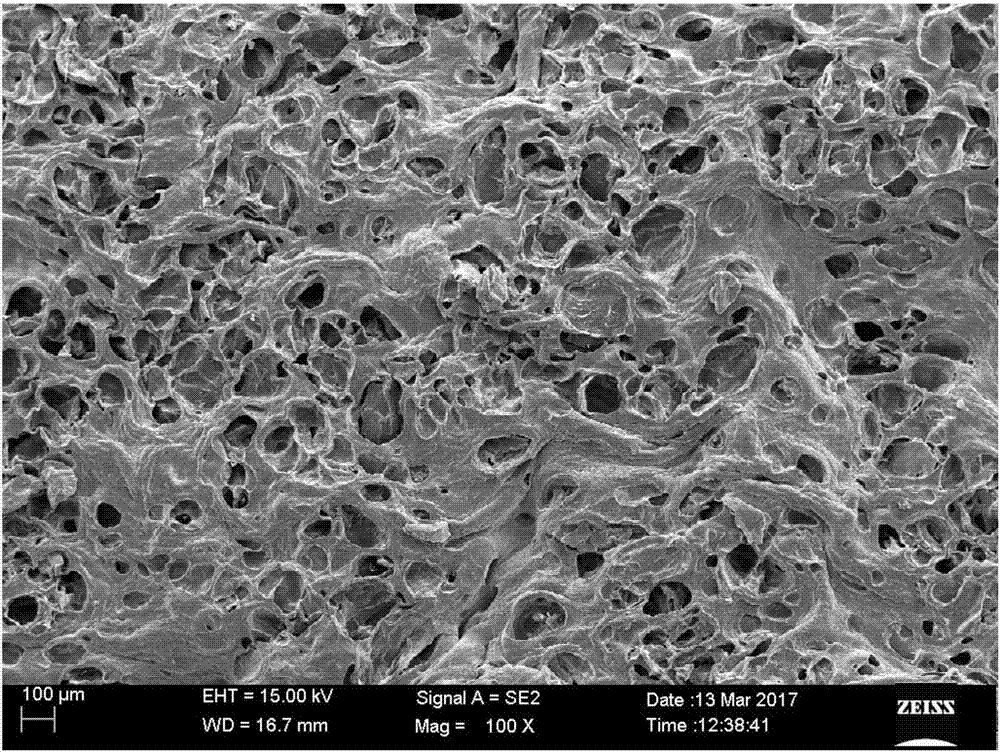 Polyvinyl alcohol hydrogel and preparation method thereof