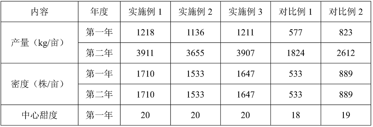 Double-row high-density cultivation method of pitaya