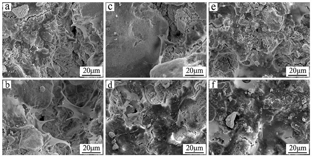 Bone repair material and preparation method and application thereof