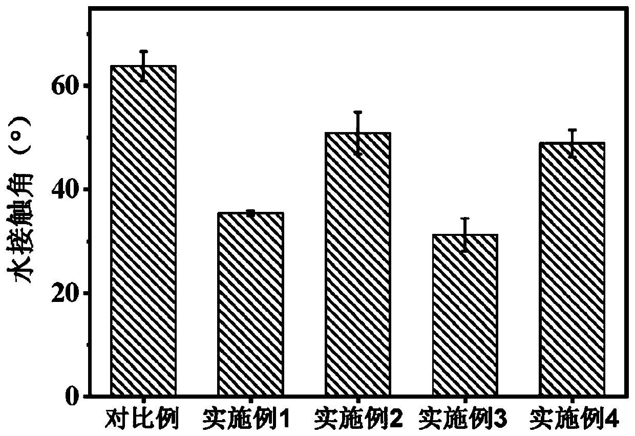 Cyclodextrin modified polyamide film composite film, and preparation method and application thereof