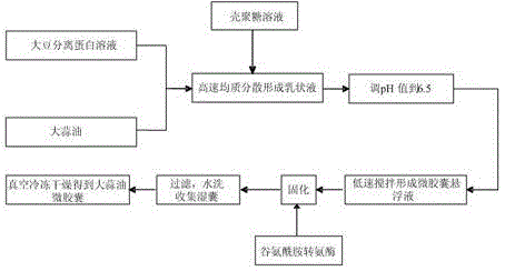 Garlic oil microcapsule with shell made of soybean protein isolate and chitosan and preparation method and application thereof