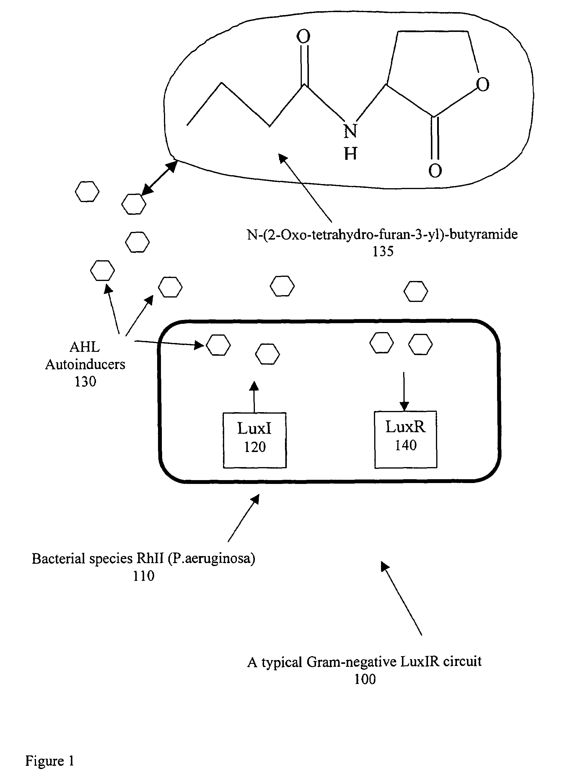 Acoustic wave biosensor for the detection and identification of characteristic signaling molecules in a biological medium