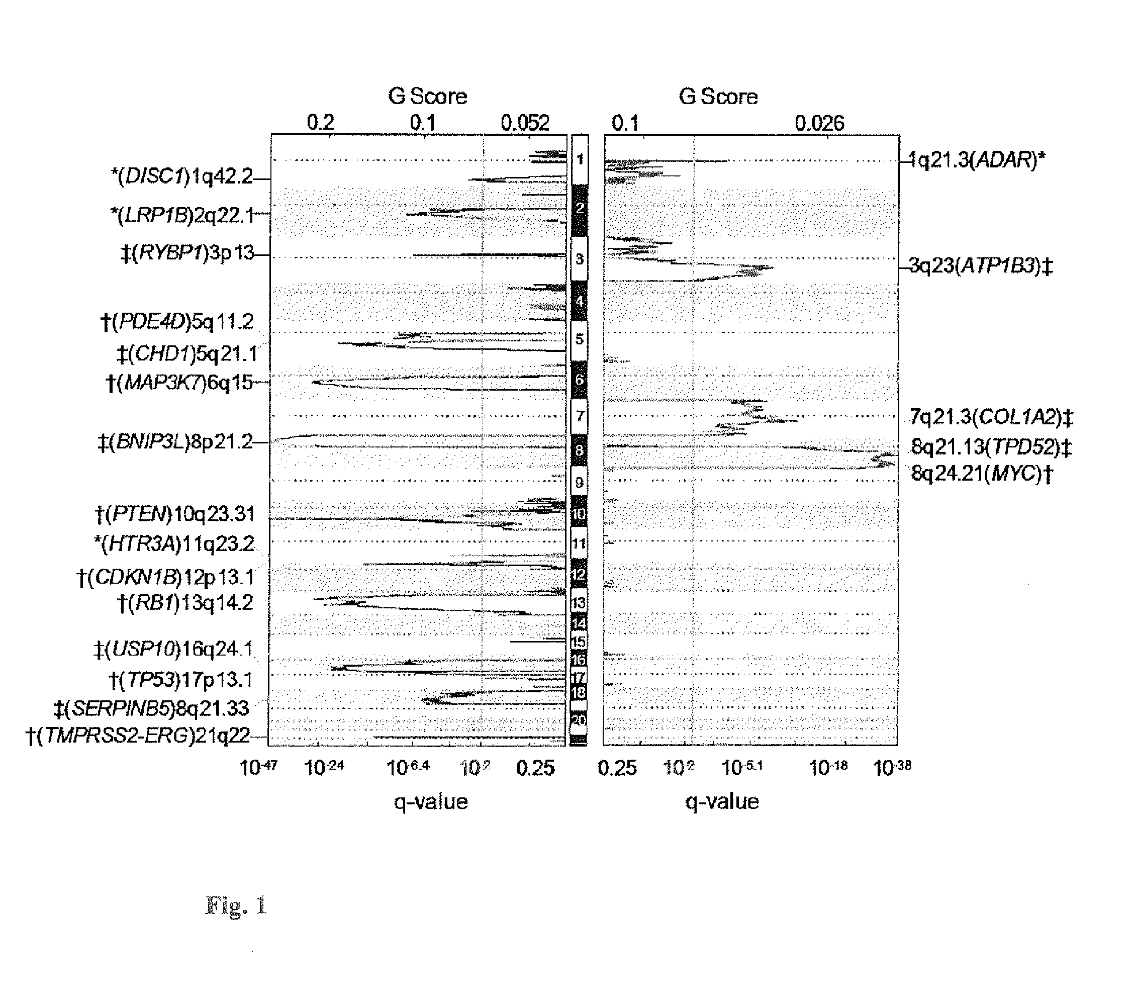 Methods and compositions for correlating genetic markers with risk of aggressive prostate cancer