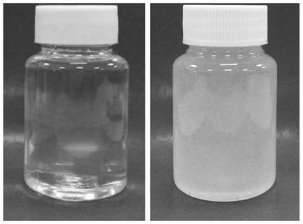 Phytosterol composition for cosmetics, preparation method and application of phytosterol composition