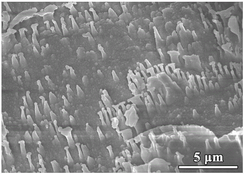 One-step synthetic method for carbon dot/poly(1,4-diphenyldiacetylene) hybrid photocatalysis material