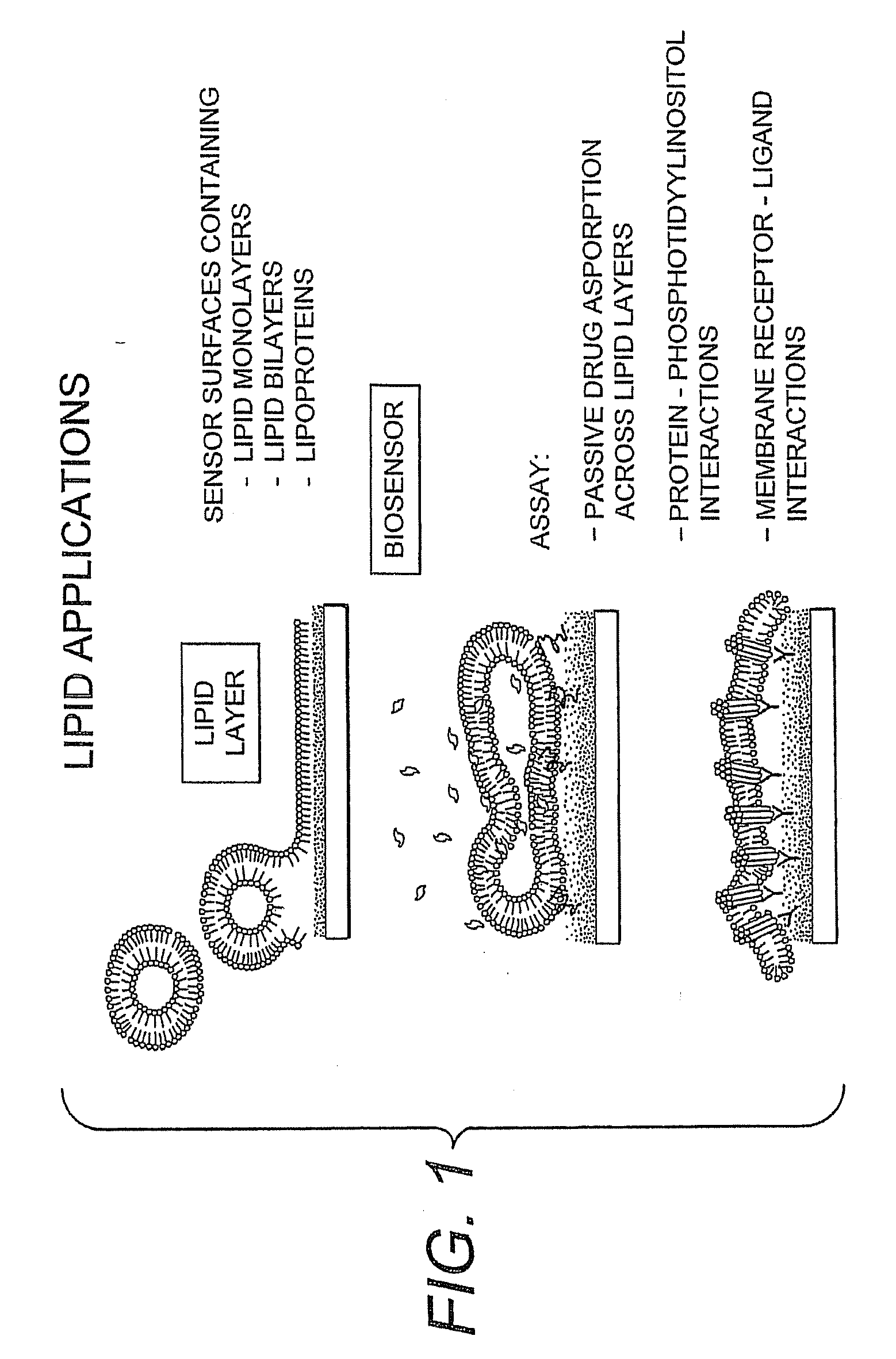 Proteolipid Membrane and Lipid Membrane Biosensor