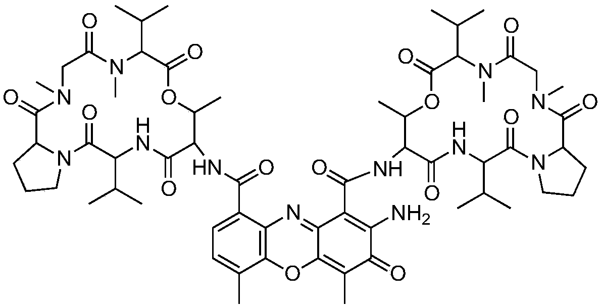 Actinomycin compound as well as preparation method and application thereof