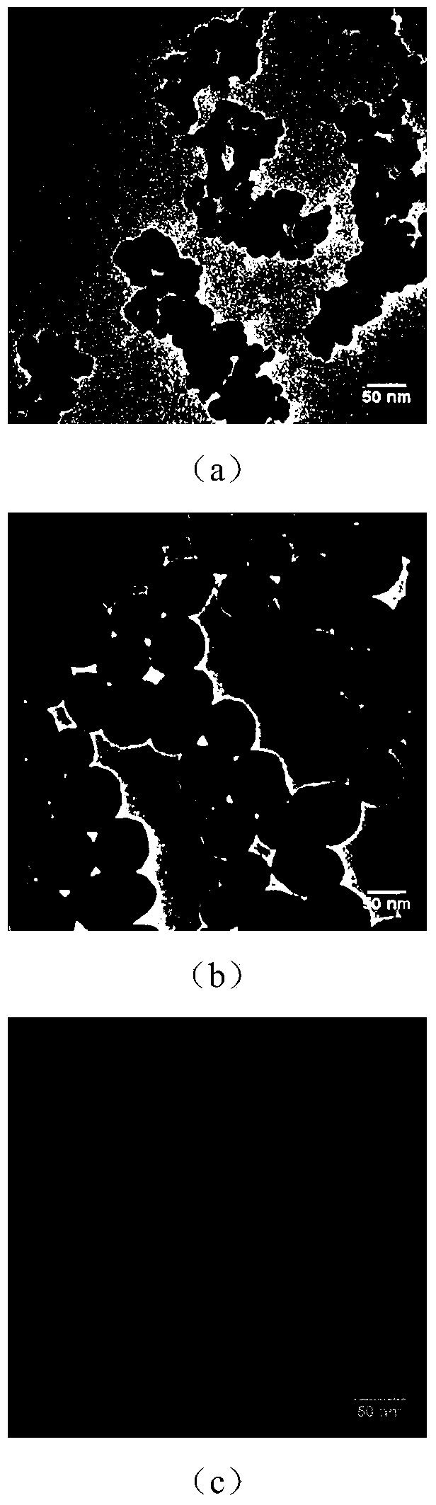 Magnetic molecularly imprinted nano-particle as well as preparation method and application thereof