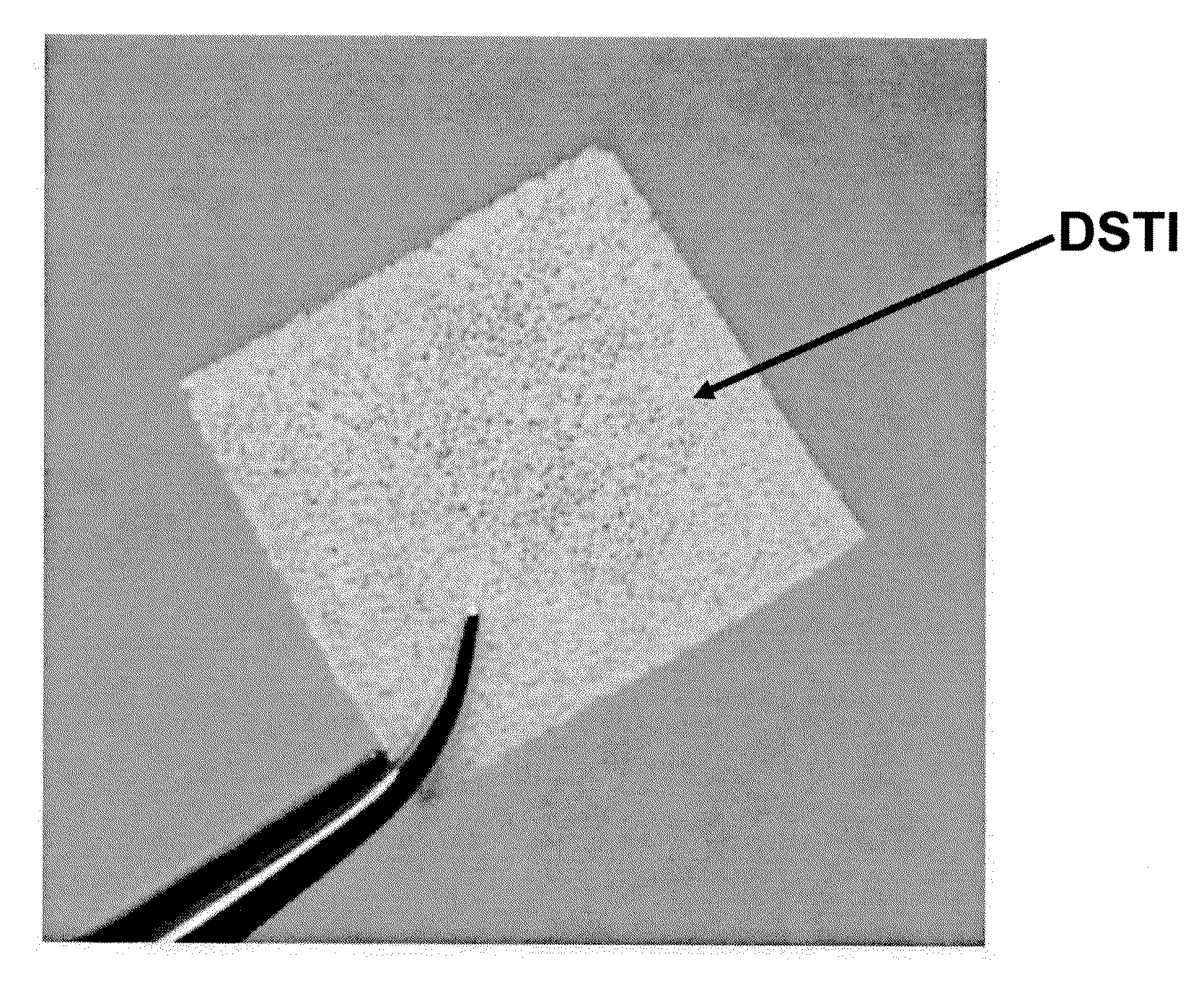 Method For Use Of A Double-Structured Tissue Implant For Treatment Of Tissue Defects