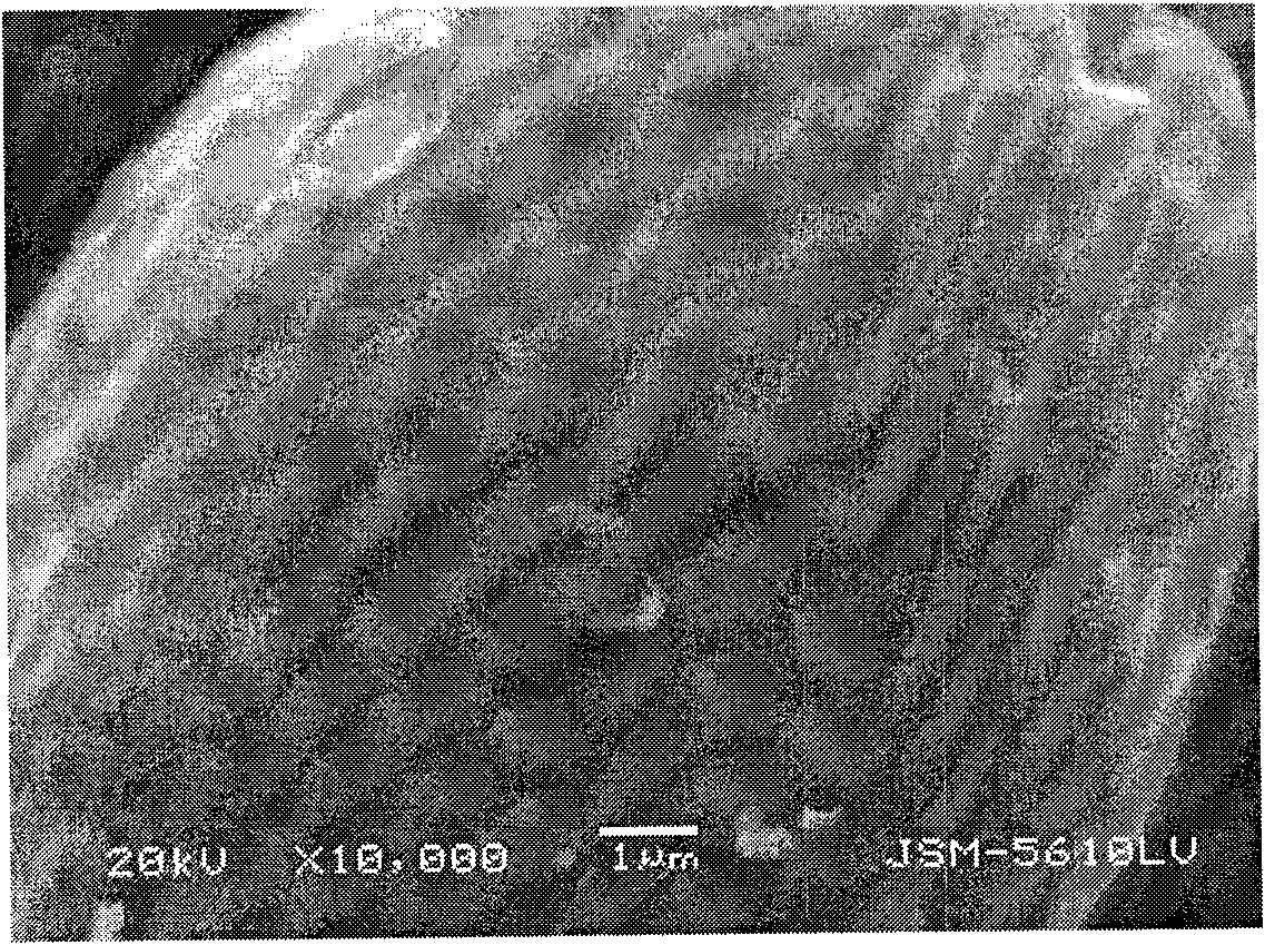 Carbon composite material, and preparation method and application thereof