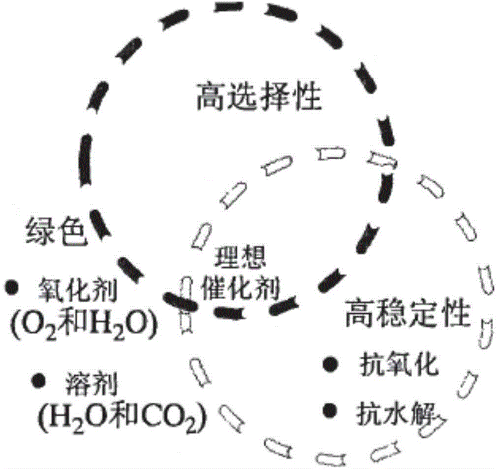 Catalyst for catalyzing oxidation of cyclohexane and preparation method of catalyst