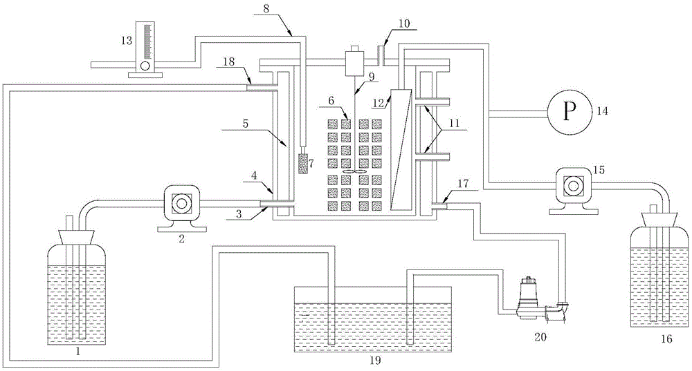 Apparatus for treating coking wastewater through immobilized MBR autotroph nitrogen removal, and method thereof