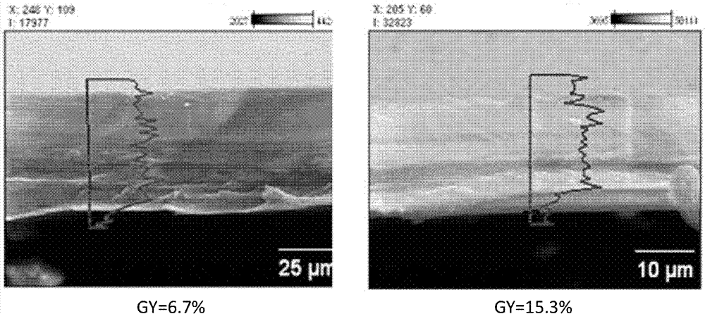 Preparation method of amphoteric ion exchange membrane