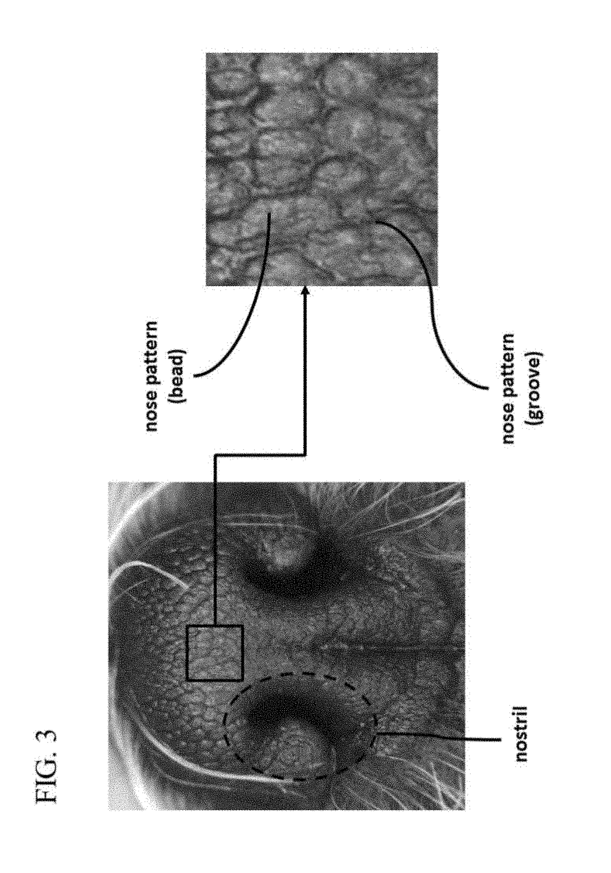 Device for recognizing animal's identity by using animal nose prints