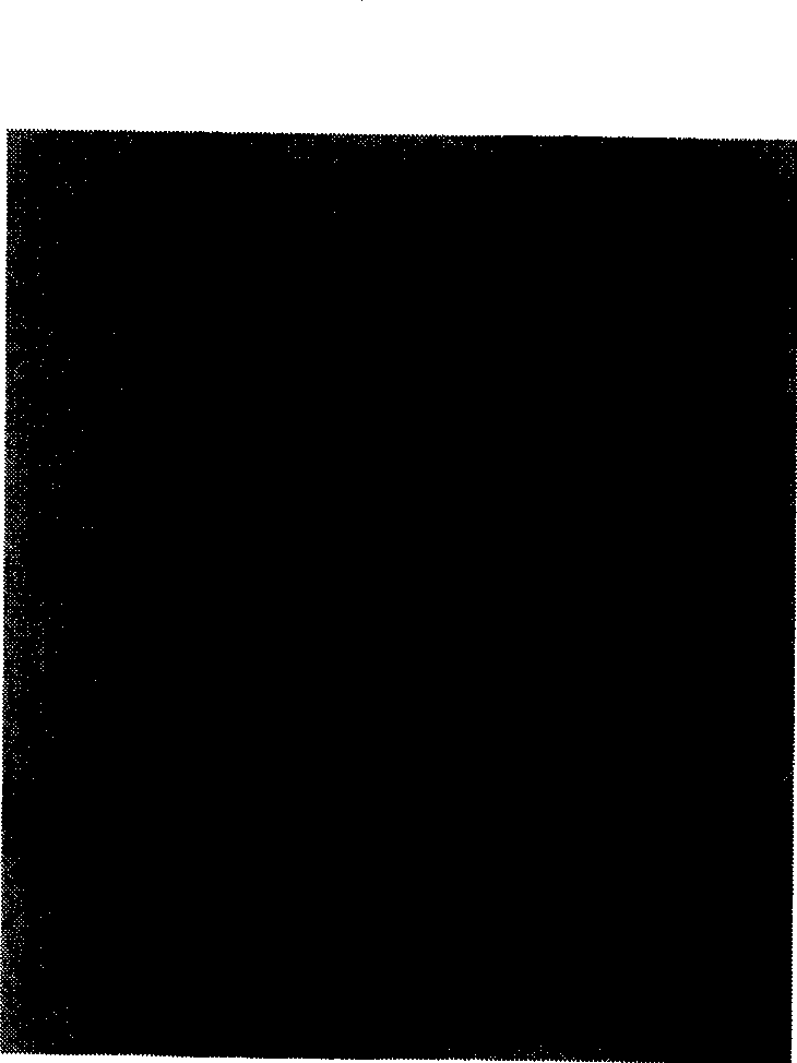 Carried nanometer bi-metal catalyst, and prepn. method and application thereof