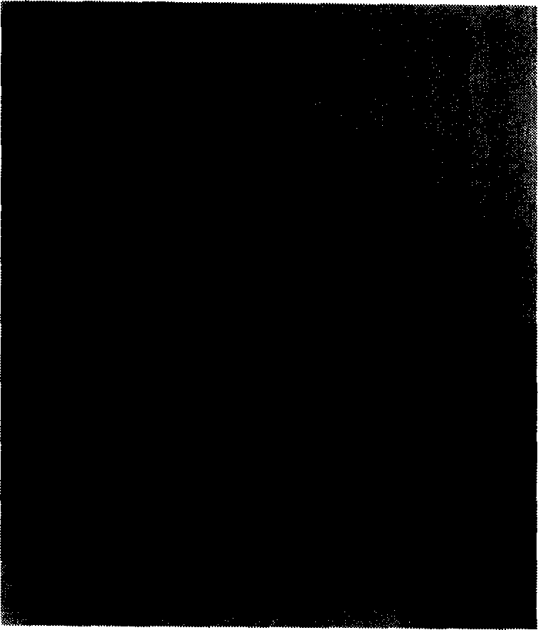 Carried nanometer bi-metal catalyst, and prepn. method and application thereof