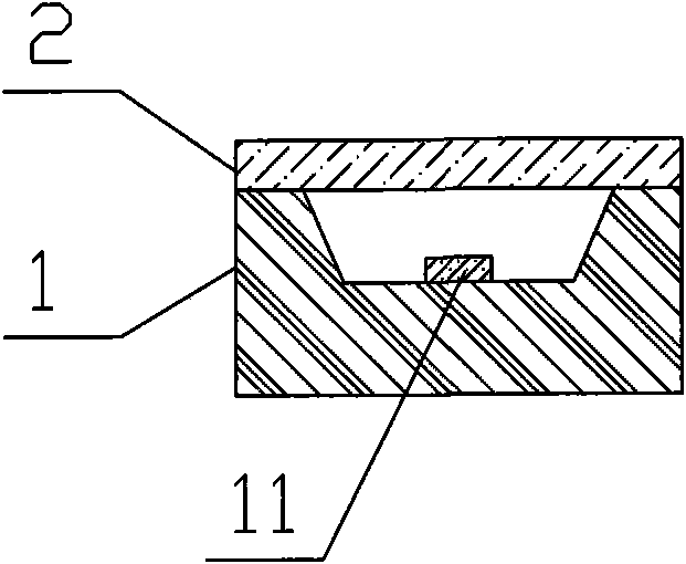 LED light source using PMMA optical filter