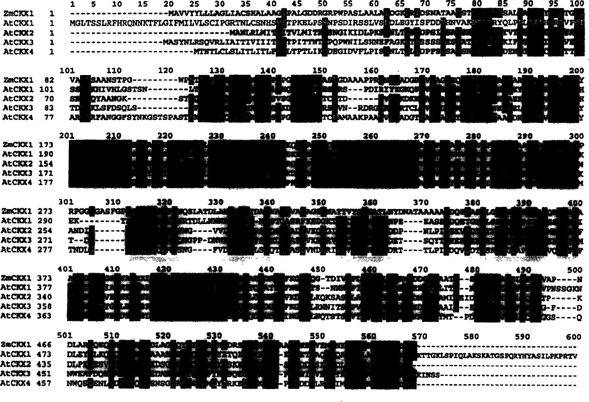 Method for modifying plant morphology, biochemistry and physiology including expression plant fission agent oxidase