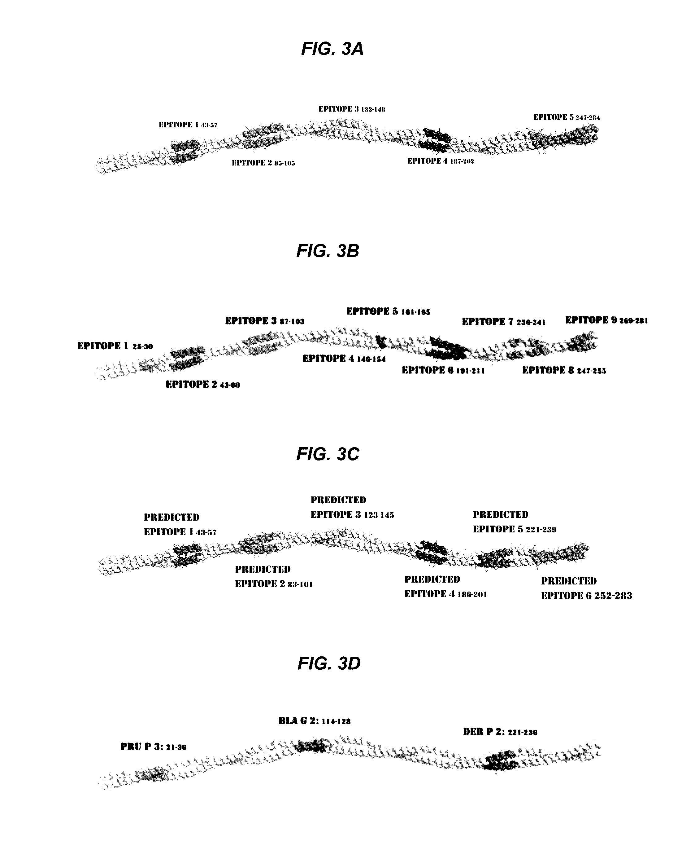 Mimotopes for use in immunotherapy for shellfish and/or arthropod allergy