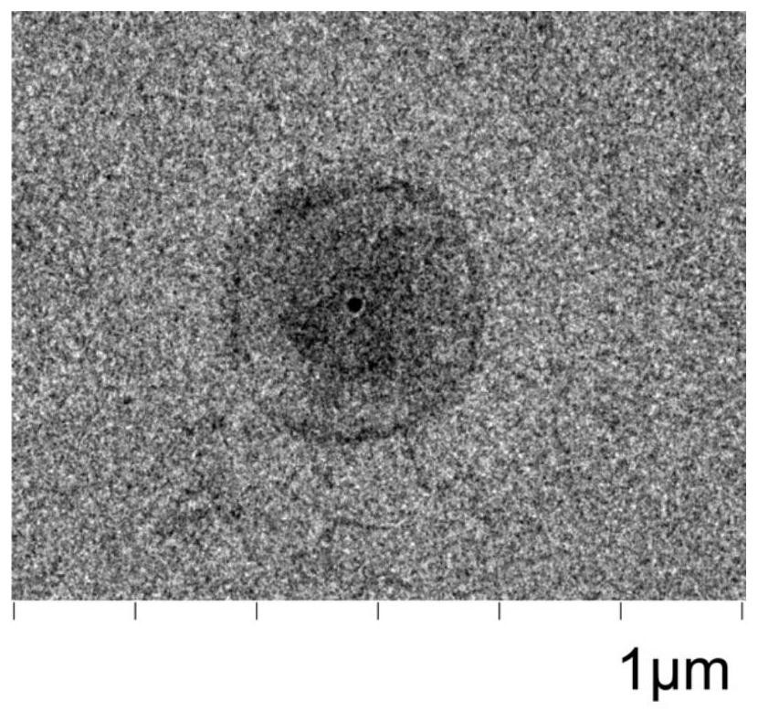 Preparation method and application of lipopolysaccharide composite nanoparticles