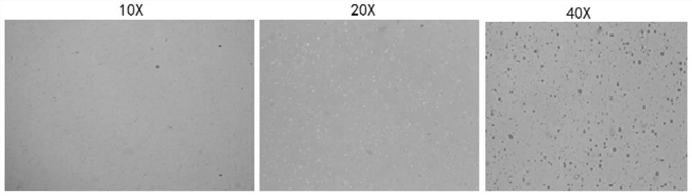 Preparation method and application of lipopolysaccharide composite nanoparticles