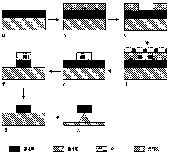 Echo wall microcavity acoustic sensor, and preparation method of double-ring resonant cavity thereof