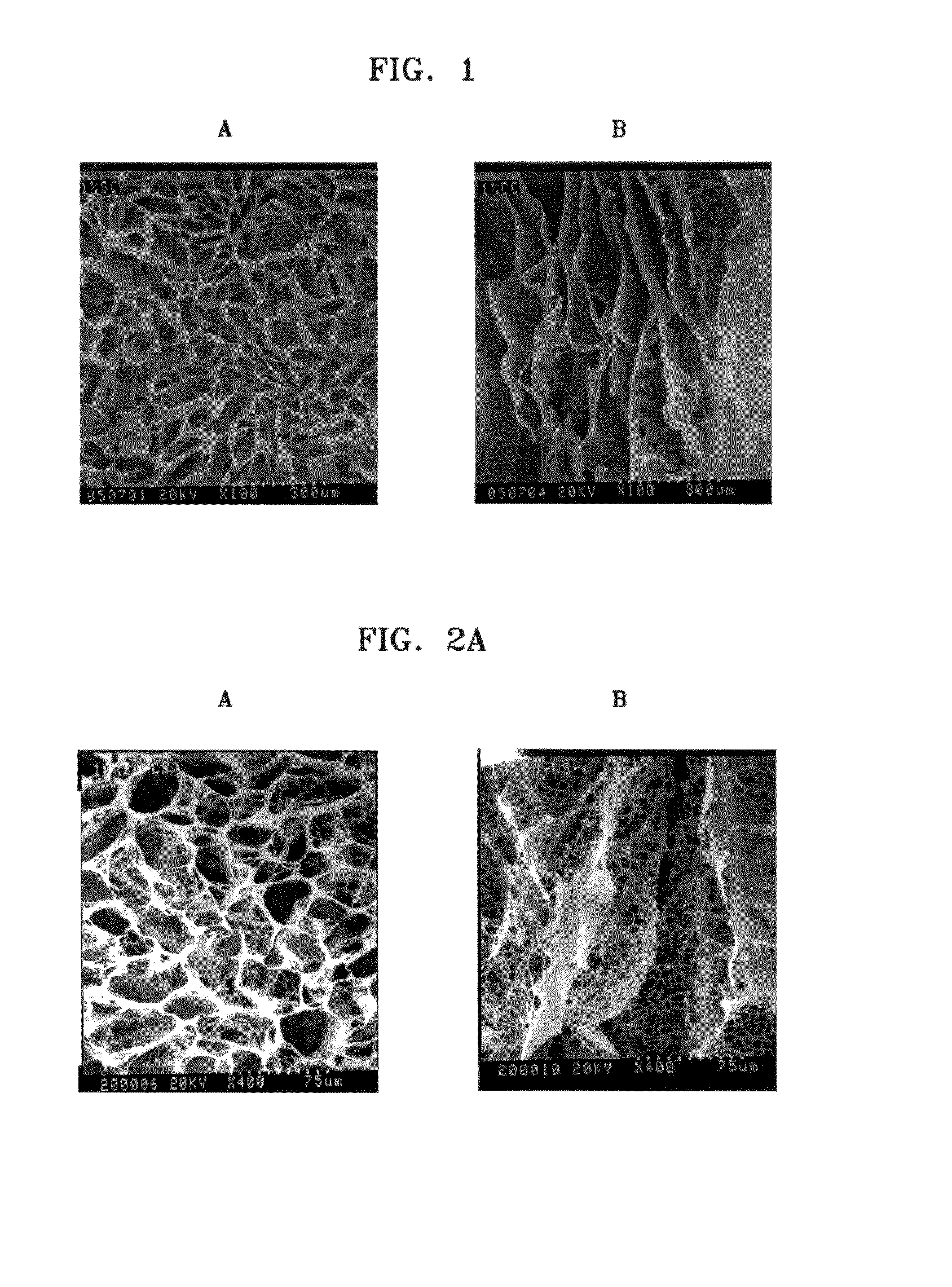 Method of producing chitosan scaffold having high tensile strength and chitosan scaffold produced using the method