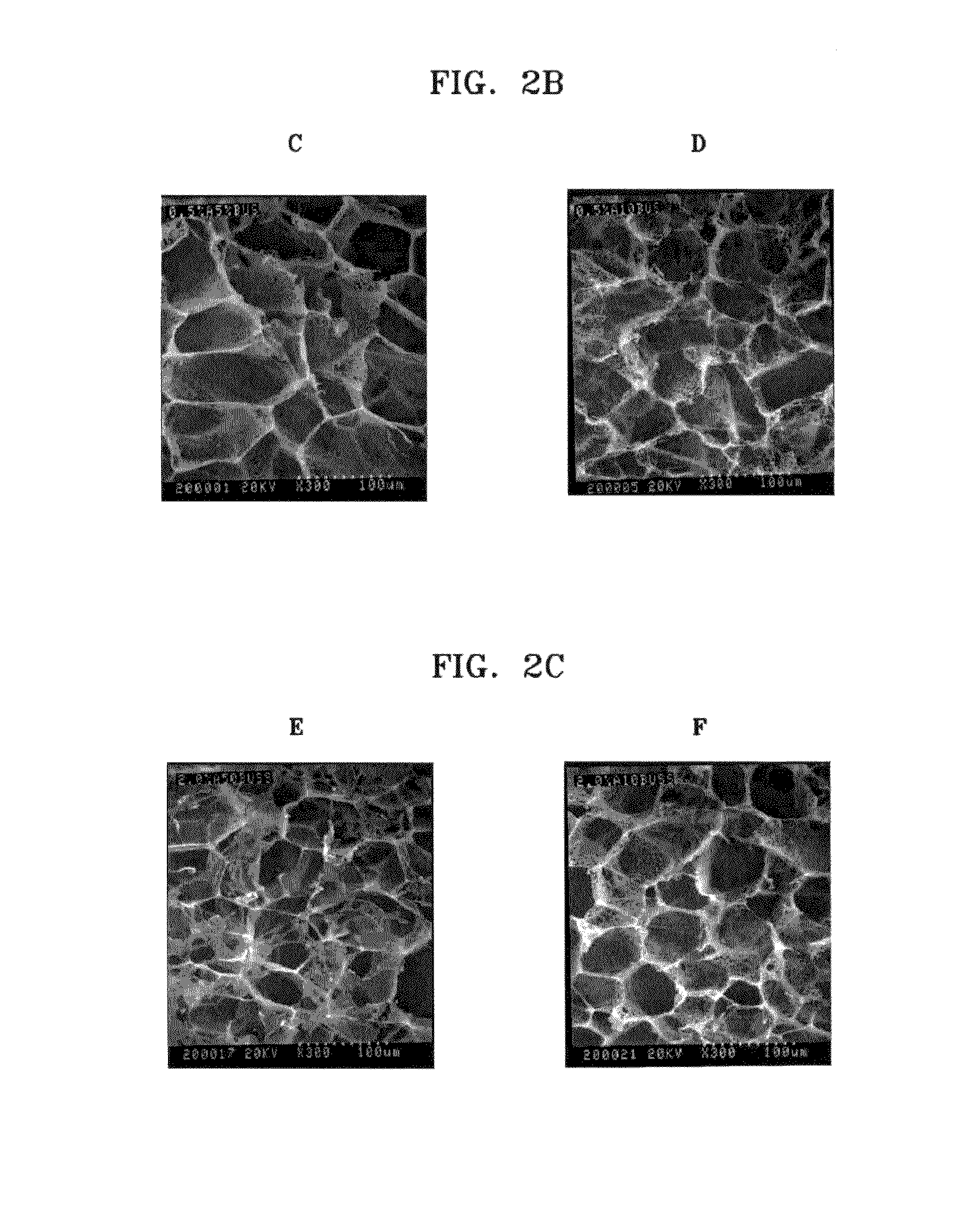 Method of producing chitosan scaffold having high tensile strength and chitosan scaffold produced using the method