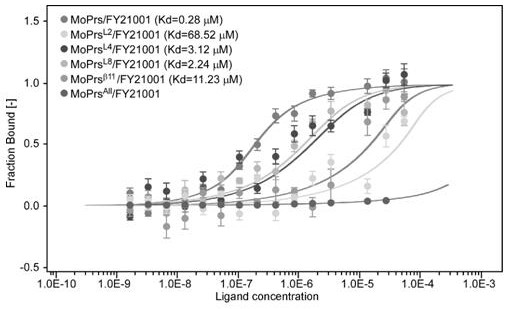 A kind of cysteine ​​protease inhibitor moers1 mutant derived from rice blast fungus and application thereof