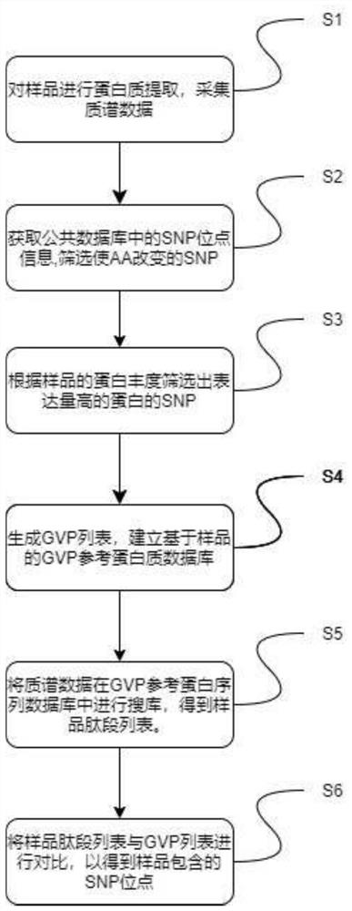 Hair shaft protein extraction method suitable for mass spectrum identification and application of hair shaft protein extraction method