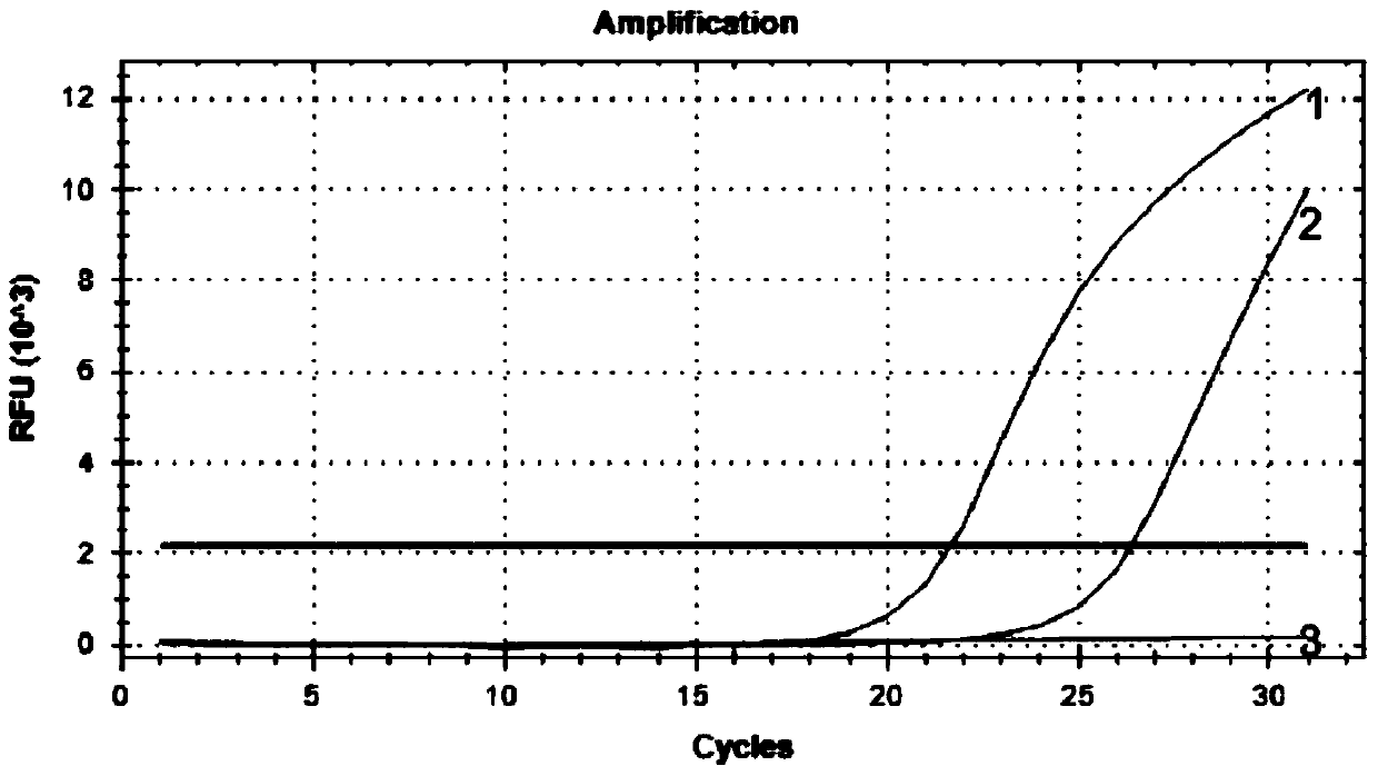 A diagnostic kit and method for detecting mutation of exon 13 of human c-kit gene